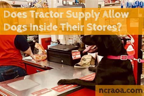 Does Tractor Supply Allow Pets Inside