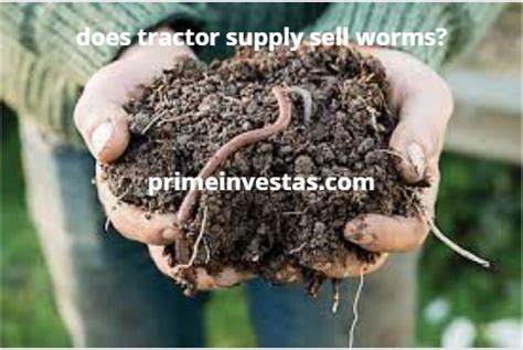 Does Tractor Supply Have Worms