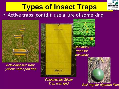 Does Trap Increase Lure Accuracy