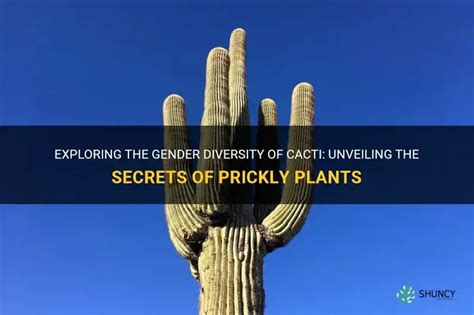 Does Trees Have Gender