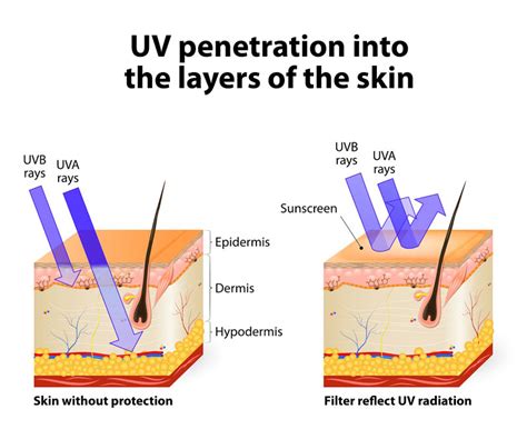 Does Uv Light Harm Skin