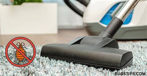 Does Vacuuming Kill Bugs