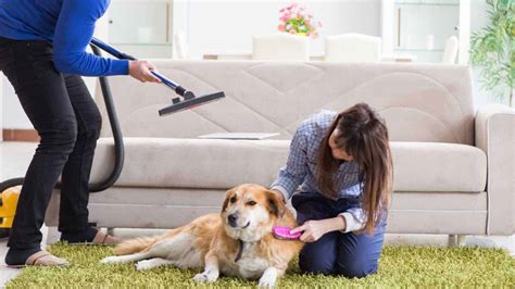 Does Vacuuming Kill Flea Eggs