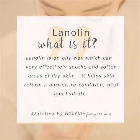 does vaseline have lanolin