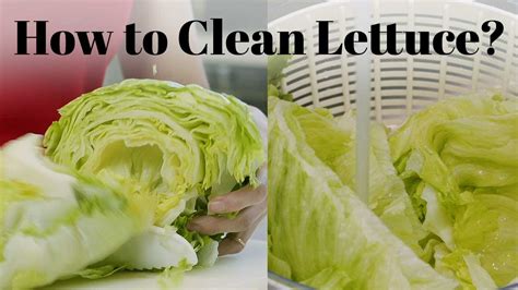 Does Vinegar Clean Lettuce