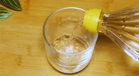 Does Vinegar Clean Up Grease