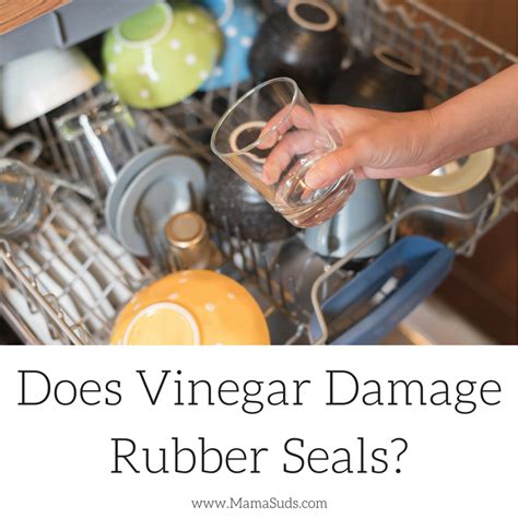 Does Vinegar Damage Rubber Gaskets