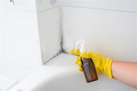 Does Vinegar Kill Mold On Grout