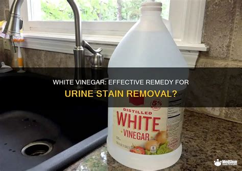Does Vinegar Remove Perspiration Stains