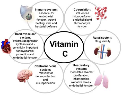 Does Vitamin C Affect Potassium Levels
