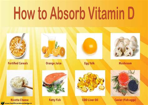 does vitamin d help absorb b12