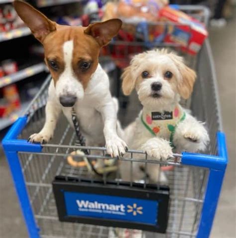 Does Walmart Allow Dogs Inside