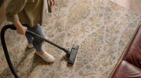 Does Washing Carpets Kill Fleas