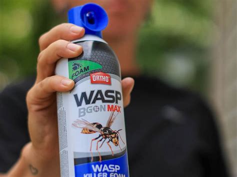 Does Wasp Spray Kill Other Bugs