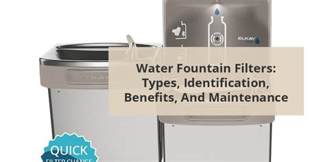 Does Water Fountain Have Filter