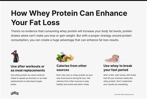 Does Whey Help You Lose Fat