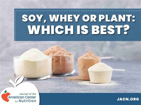 Does Whey Powder Contain Soy