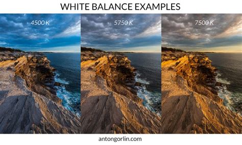 Does White Balance Affect Exposure