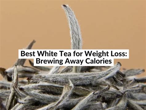 Does White Tea Reduce Belly Fat