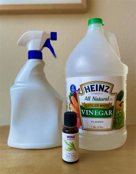 Does White Vinegar Repel Ants