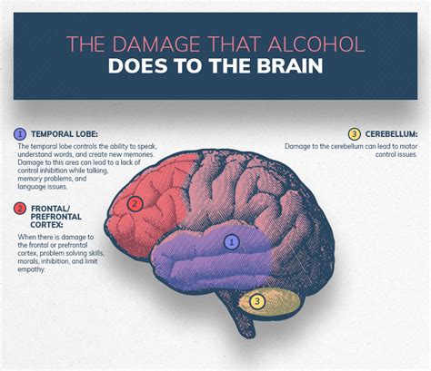 Does Wine Damage The Brain