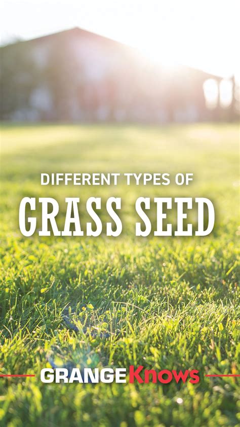 Does Worry Seed Work On Grass Types