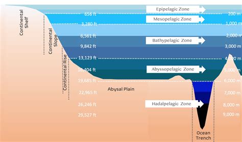Does depth mean deepness?
