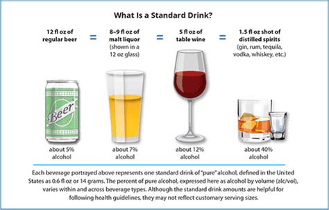 Infographic Effect of Alcohol on Human Body