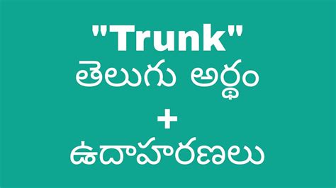 doesn't meaning in telugu examples