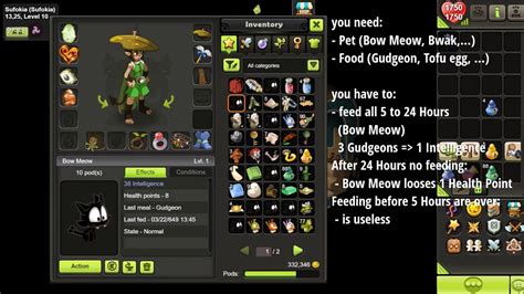 Dofus Pet Feeding Guide