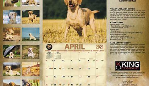 2024 Dog Breed Monthly Wall Calendar - Free Printable Templates