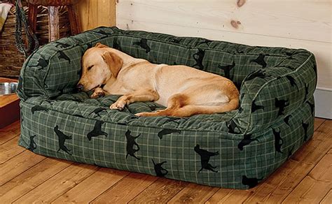 Popular Dog Bed Couch Amazon For Small Space