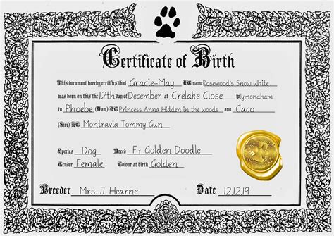 Puppy Birth Certificate Etsy UK