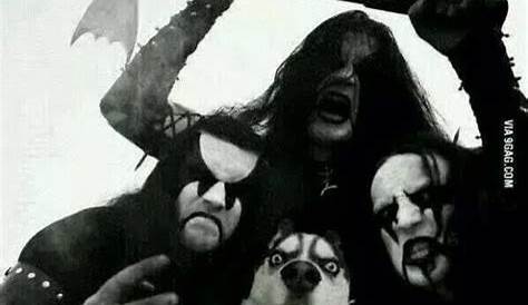 Dog Black Metal Meme Hornsup Motorhead Battle