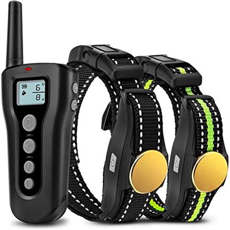 10 Best Electric Collars for Dogs (Feb. 2021) Buyer’s Guide