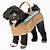 dog carrying costume