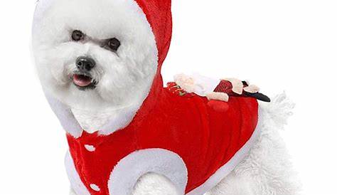 Dog Christmas Costume Pattern