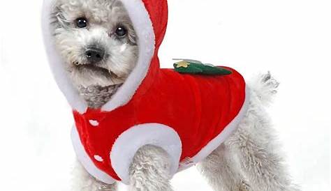 Dog Christmas Outfit Xl Elf Costume MXL Pets Jumpers B&M
