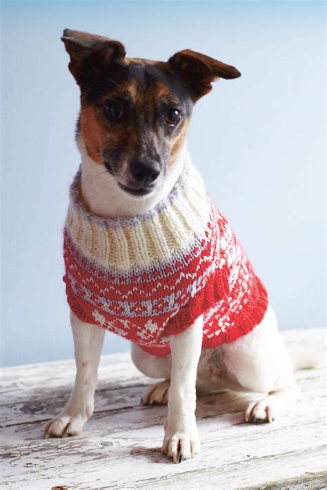 Fair Isle Dog Coat Knitting Patterns Let's Knit Magazine