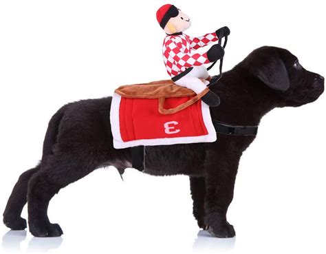 Zack & Zoey Show Jockey Saddle Dog Rider Costume Cute dog costumes