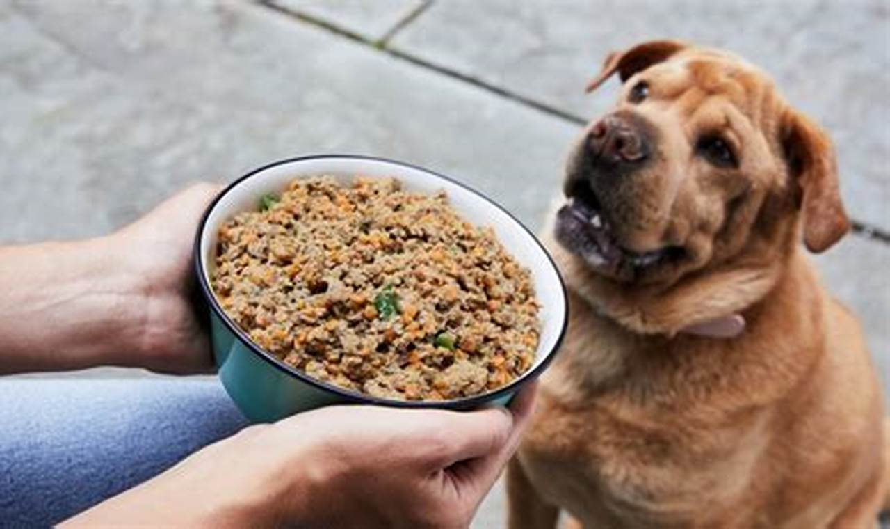 dog food recipes with chicken