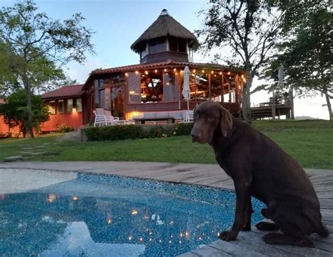 dog friendly all inclusive resorts in new york city