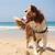 dog friendly beaches near atlanta