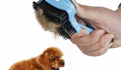 The 4 Best Dog Brushes For Shedding