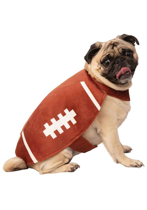 Dog Touchdown Football Costume