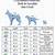dog measurements chart