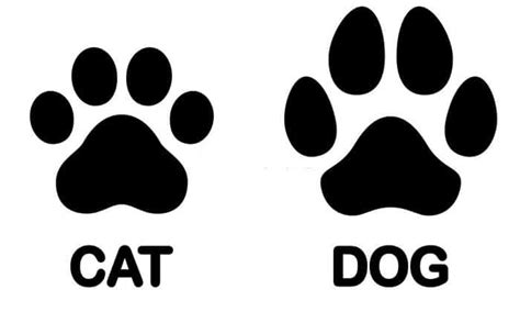 cat paw vs dog paw Paw Prints Pinterest Cat paws, Dog paws and Cat