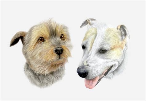 Dog Portraits and Pawtraits by Tina Monod, If You Love Dogs