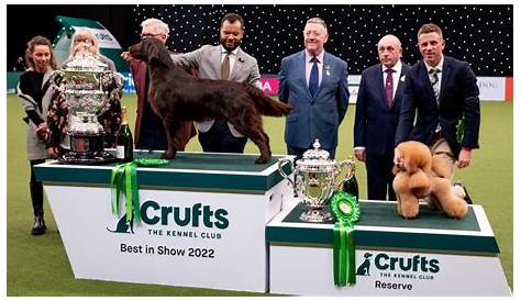 National Dog Show 2020: Scottish deerhound wins Best in Show