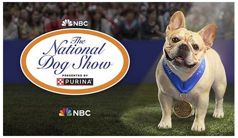 Fall dog show brings more than 100 breeds to train at New York State